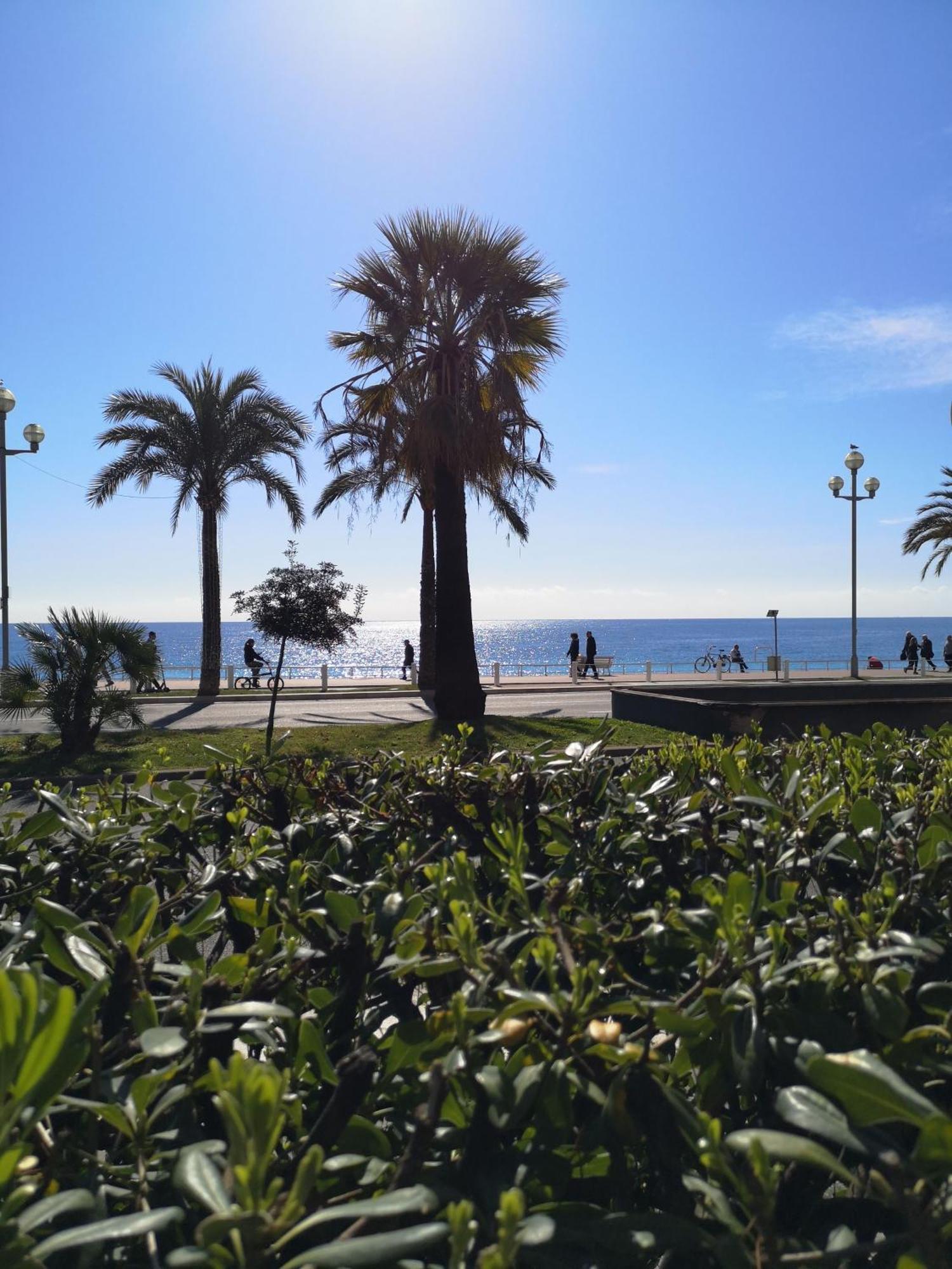 Garden Atlantide Promenade Apartment Nice Bagian luar foto