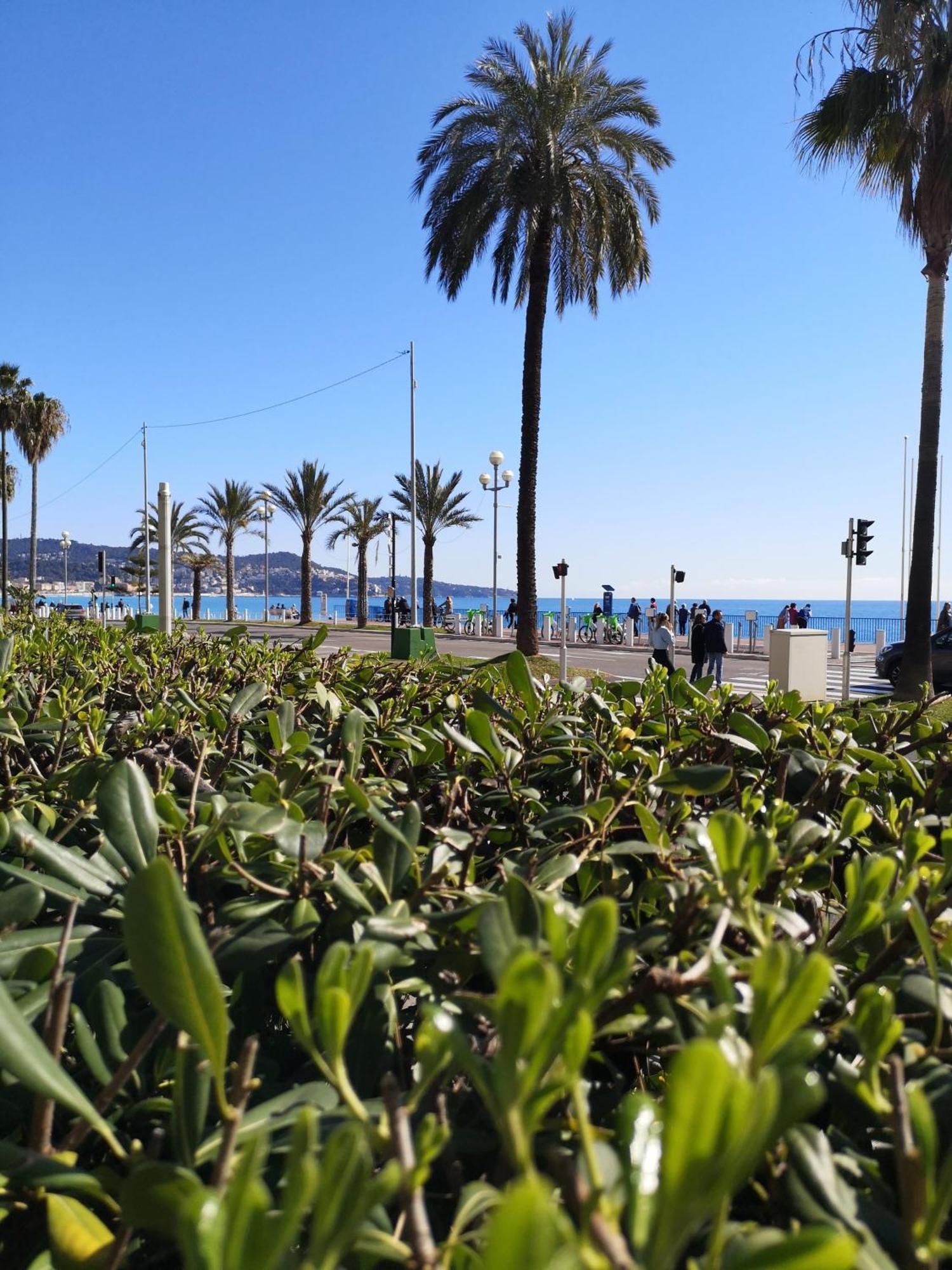 Garden Atlantide Promenade Apartment Nice Bagian luar foto