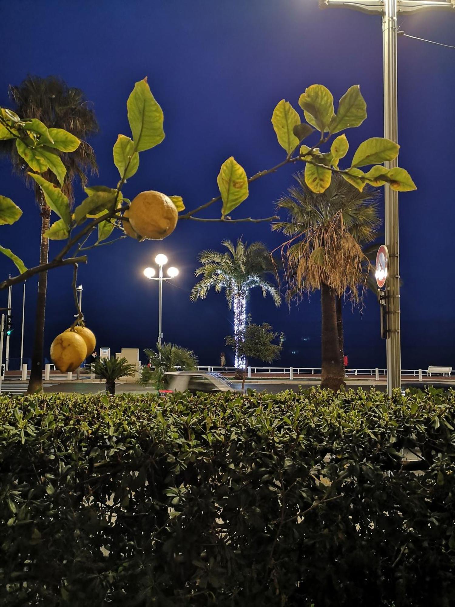 Garden Atlantide Promenade Apartment Nice Bagian luar foto