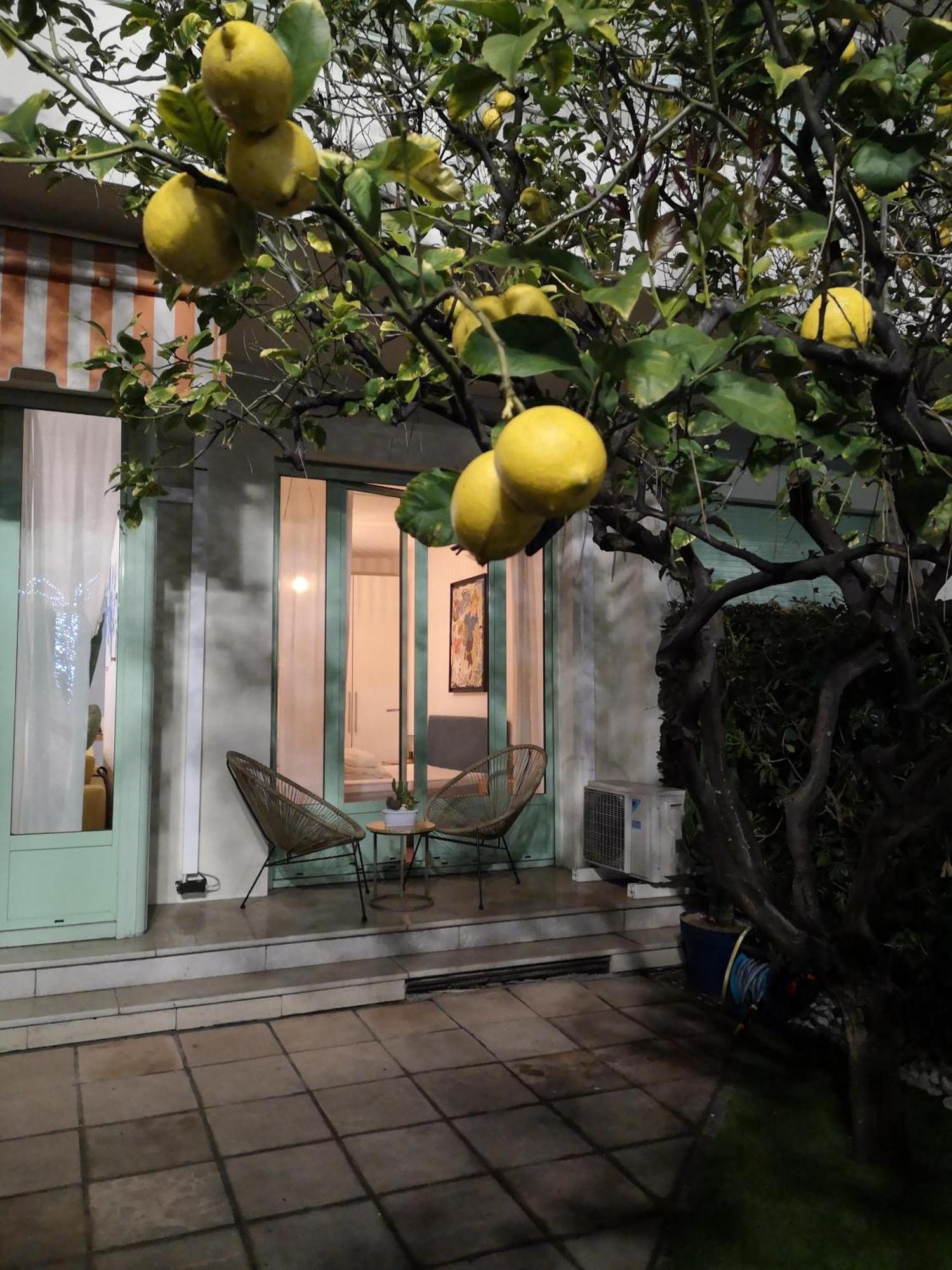 Garden Atlantide Promenade Apartment Nice Bagian luar foto