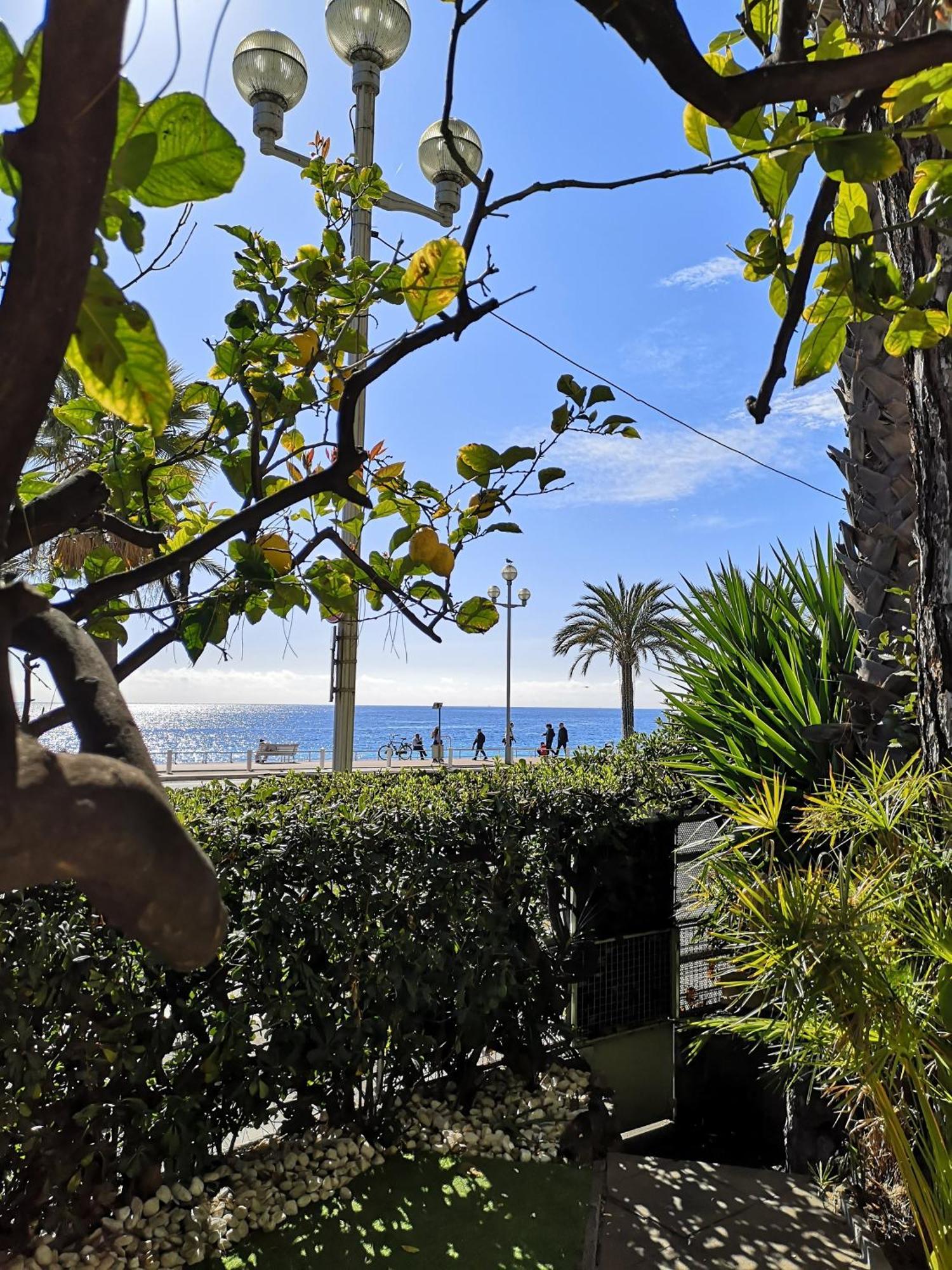 Garden Atlantide Promenade Apartment Nice Bagian luar foto